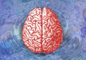 How a Subculture Brainwashed America