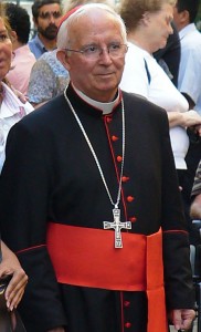 Cardinal Antonio Canizares Llovera Tall Pic