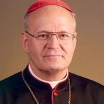 Cardinal Erdo Peter