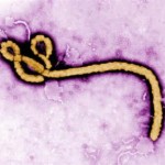 Ebola
