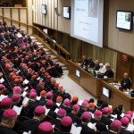 Synod on the Family AD 2014 Cardinal Kasper Pope Francis divorced remarried