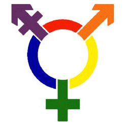 Transgender Logo Square Pic Transparent 2
