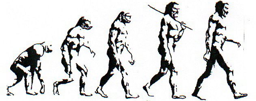 Evolution Chart Transparent Pic