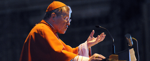 Jesus Performed No Miracles Cardinal Kasper Wide Pic