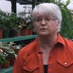 Barronelle Stutzman Original Pic