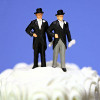 So Called Same Sex Marriage Wedding Cake Square Pic