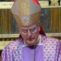 Archbishop Nienstedt Rome 2012 CNA Square Pic