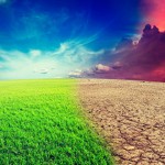 Green Earth Black and White combo wide pic