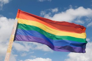 Rainbow Homosexual Flag Wide Pic