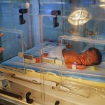 Newborn Baby in Incubator Hospital Bed Wide Pic