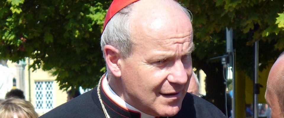 Cardinal Schonborn Red Cap Sunny gazing somewhat down