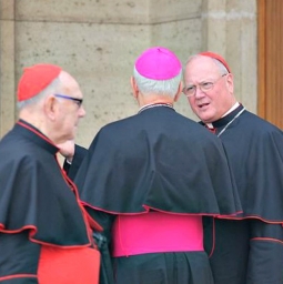 Cardinal Timothy Dolan