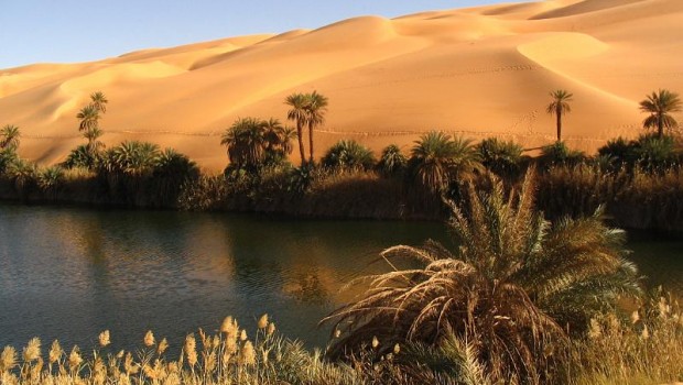 Libyan Desert Oasis