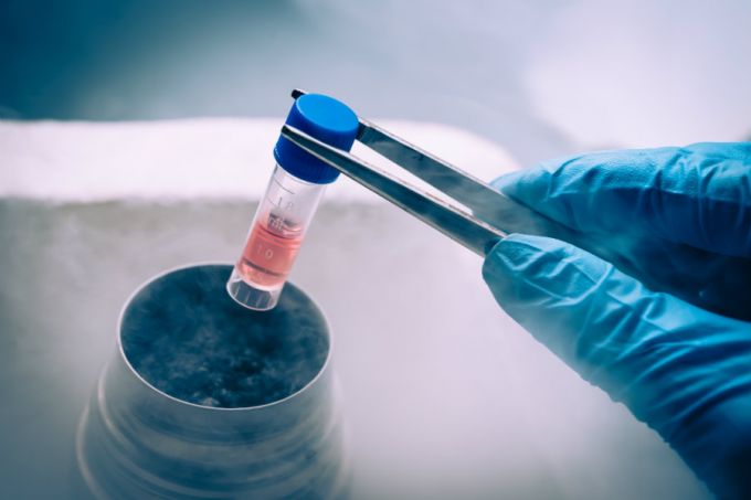 A Liquid Nitrogen bank containing suspension of stem cells. (Credit: Elena Pavlovich via www.shutterstock.com)