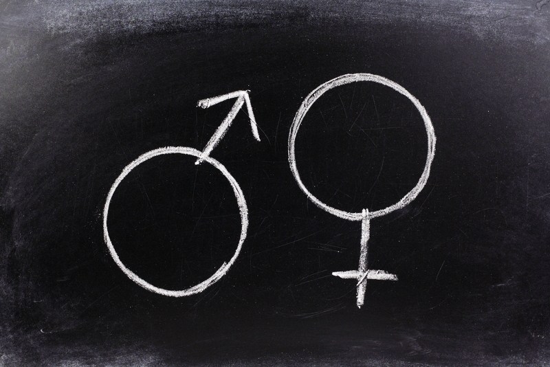 Gender Studies Blackboard