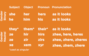 so-called-gender-neutral-progressive-pronouns